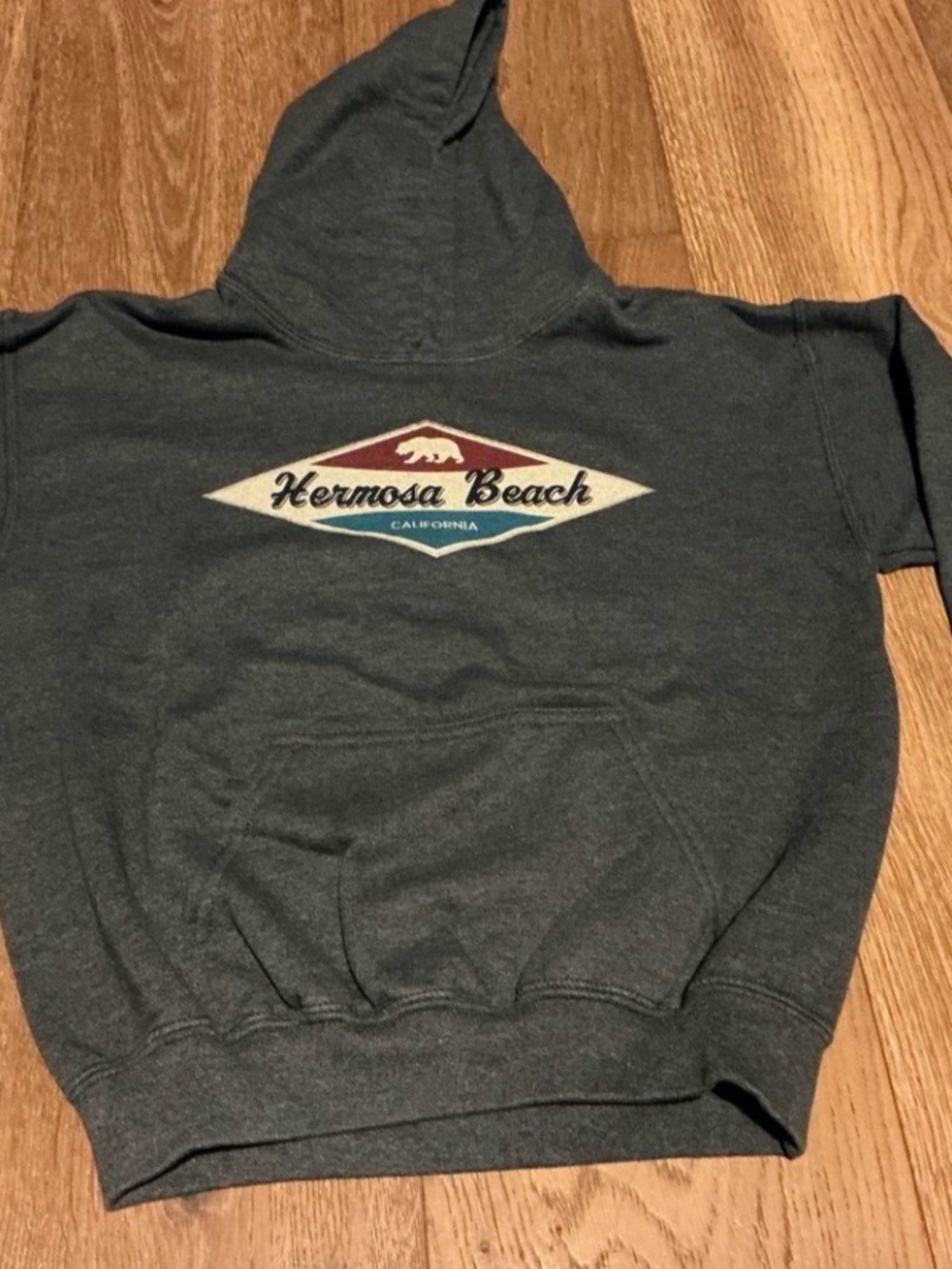 Graphic Hoodie - Gray